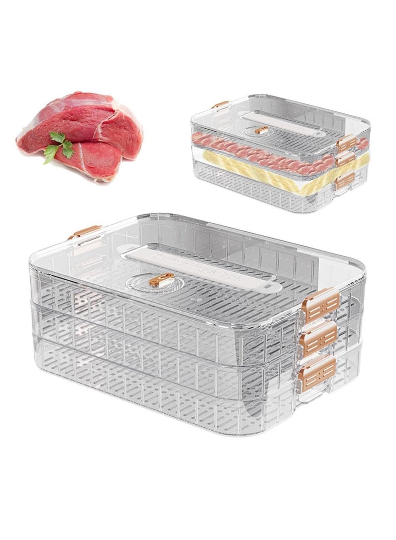 SYOSI Deli Meat Container, 3 Layer Bacon Storage Container, Time Recording Refrigerator Food Organizer Box with Snaps, Stackable Non Stick Airtight Keeper for Meat Bacon Dumpling Bread Fish Vegetable - Image 1