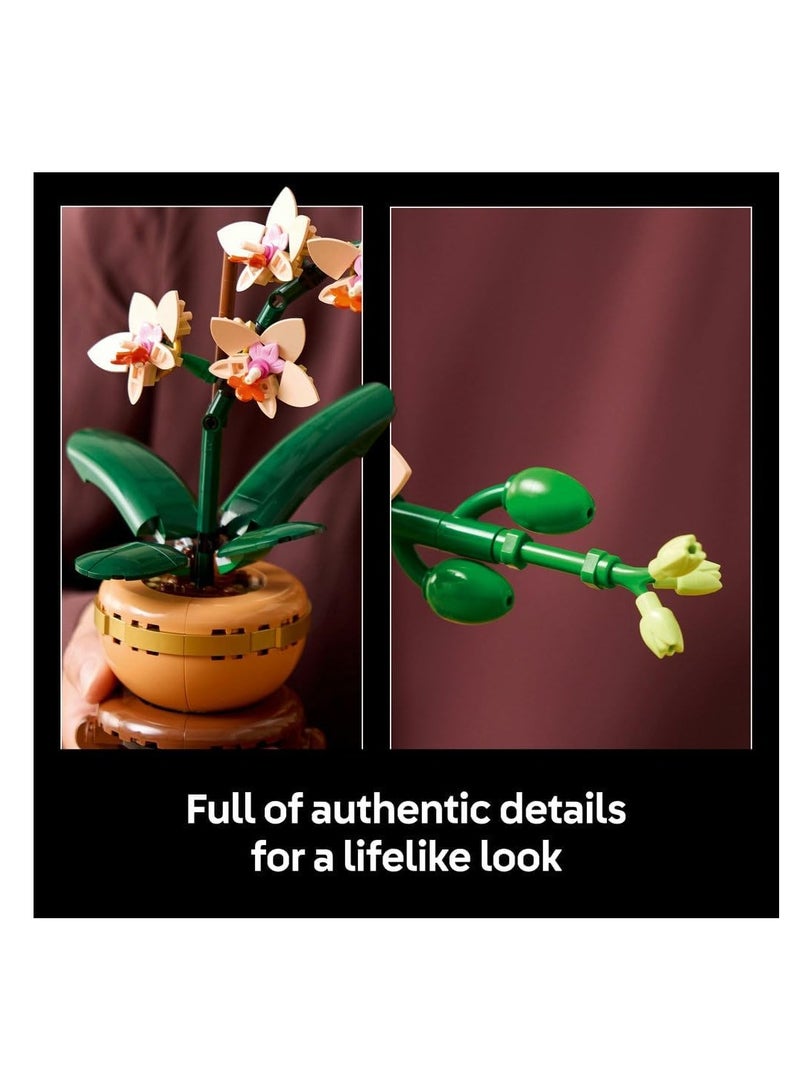 LEGO LEGO Mini Orchid 10343  - Image 5
