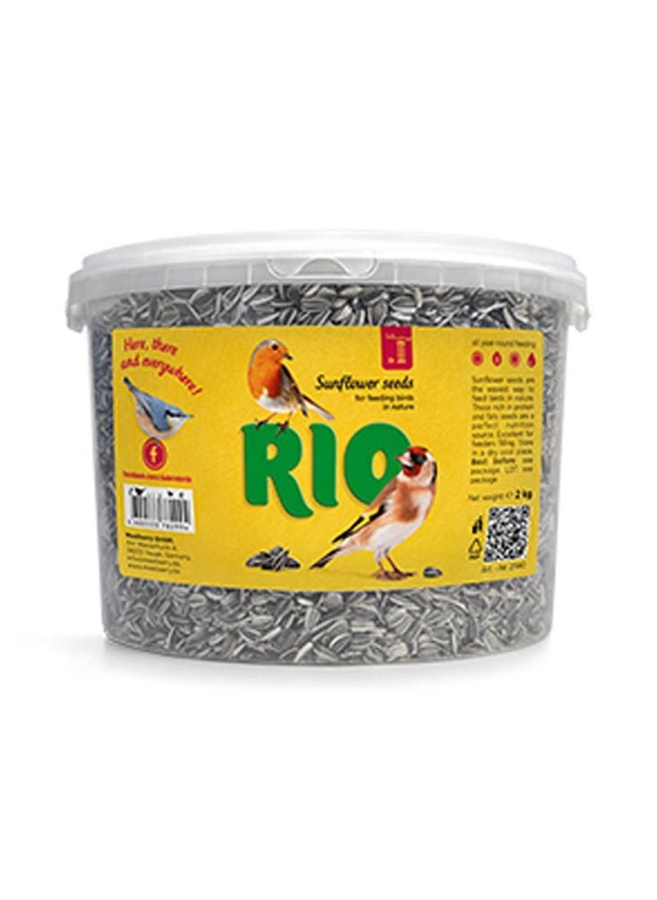 RIO - RIO Sunflower Seeds - Image 1