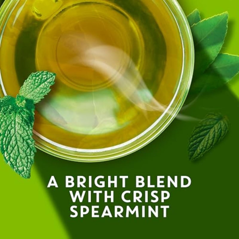 TAZO Organic Zen Green Tea, Green Tea Zen for Health and Wellness, 144 Total Tea Bags (36ct - Pack of 4) - Image 5