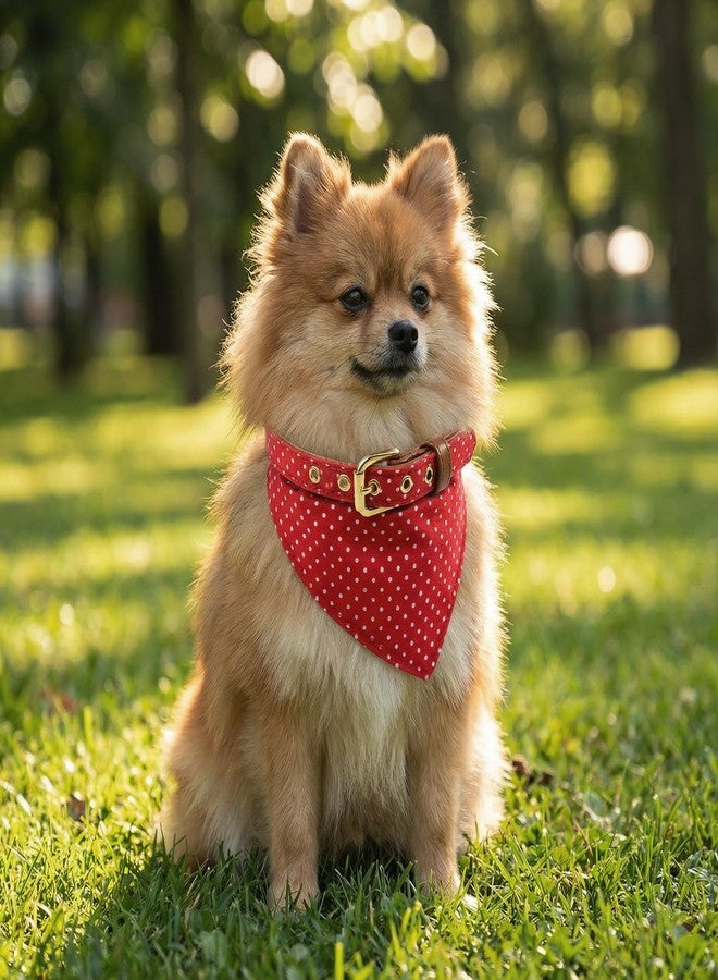 Ximipet 3PCS Bow Tie Dog Collar and Leash Set Plaid/Camo/Dots/Flower Dog Bandanas with Bell 3 Size Adjustable for Small Dogs Puppies and Cats (S, Red Dots) - Image 3