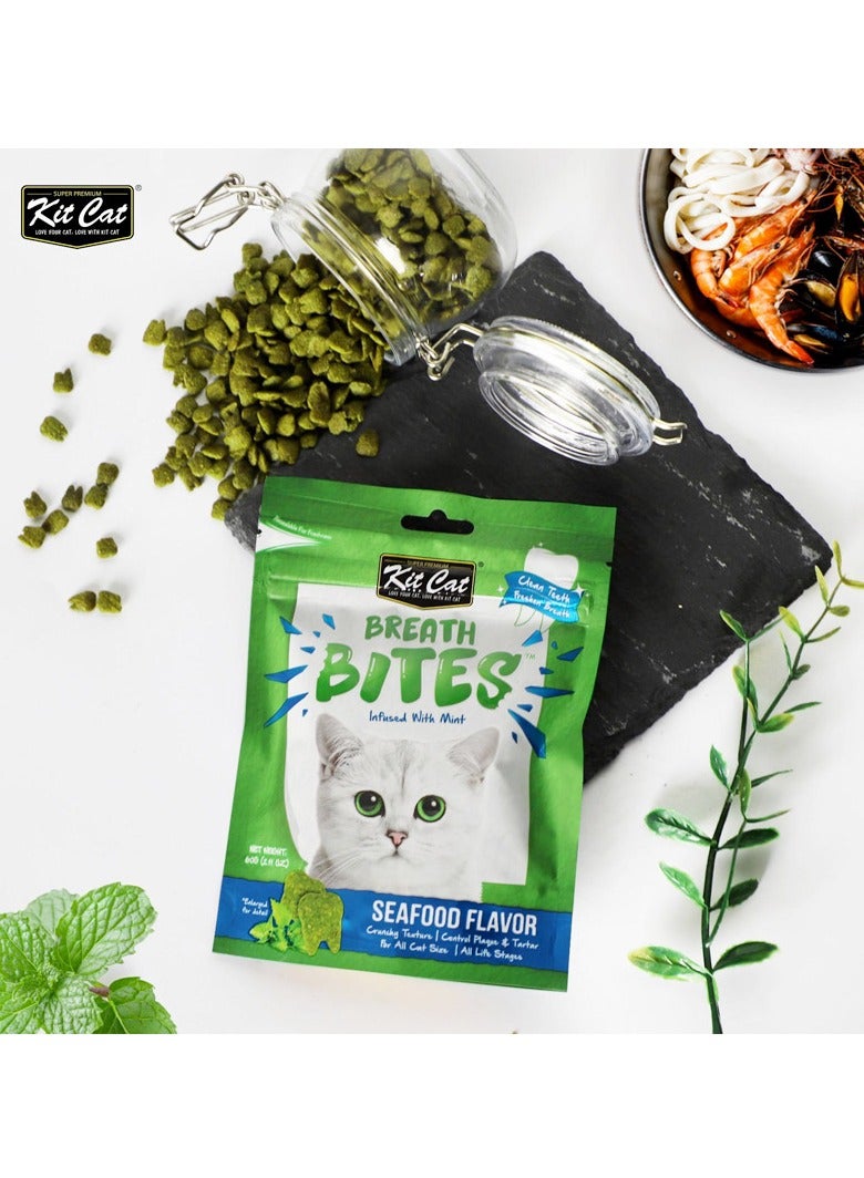 كيت كات قطعتان من Breath Bites بنكهة المأكولات البحرية 2x60 جرام - Image 2