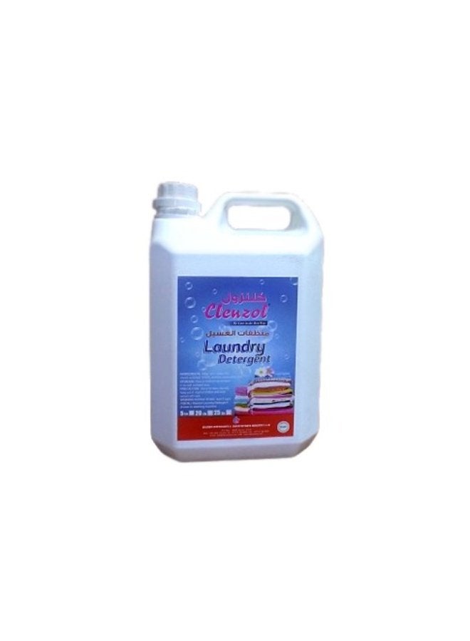 Laundry Detergent - Powerful Stain Removal for Fresh and Clean Clothes