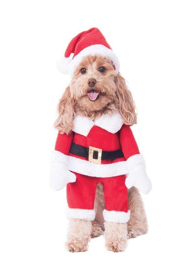 Rubie's Walking Santa Pet Costume, Medium