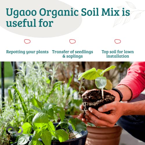 Ugaoo Organic Potting Soil Mix for Plants – 5 Kg | Ready to Use Garden Soil for Cactus & Succulents, Indoor, Outdoor & Flowering Plants | Red Soil with Cow Manure | Home Garden Potting Mixture - Image 3