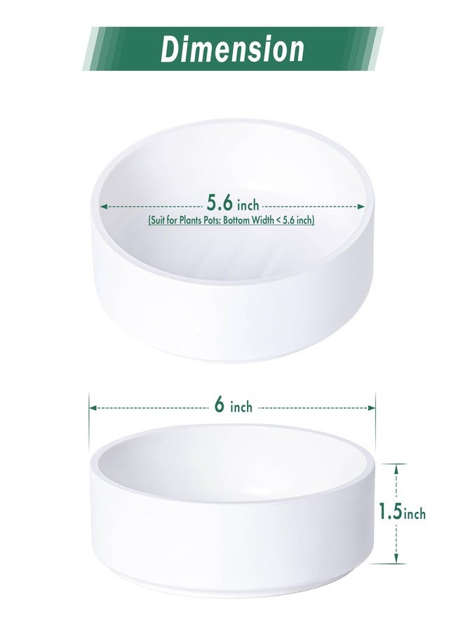Phoenix Vine 6 Inch Plastic Plant Saucer Water Drip Tray, Heavy Sturdy Round Plant Drainage Tray for Indoors Outdoor, Matte White, 21-TY-6W-1 - Image 2