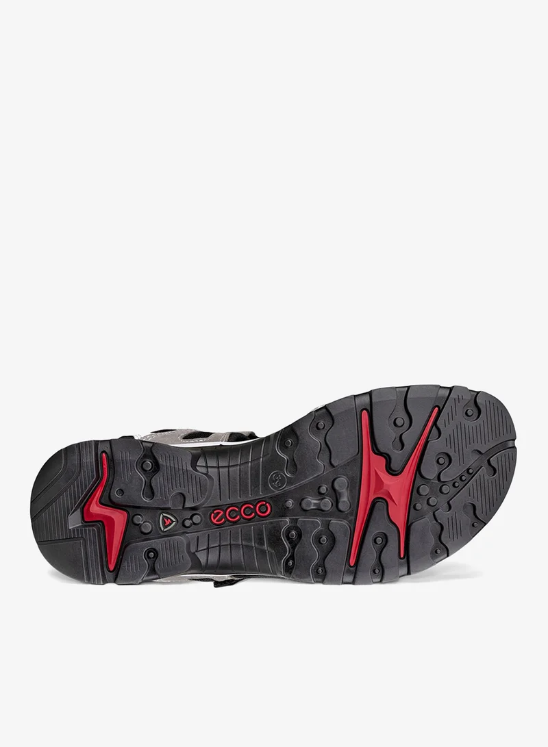 ECCO  ECCO Offroad Titanium for Women | Best Price UAE