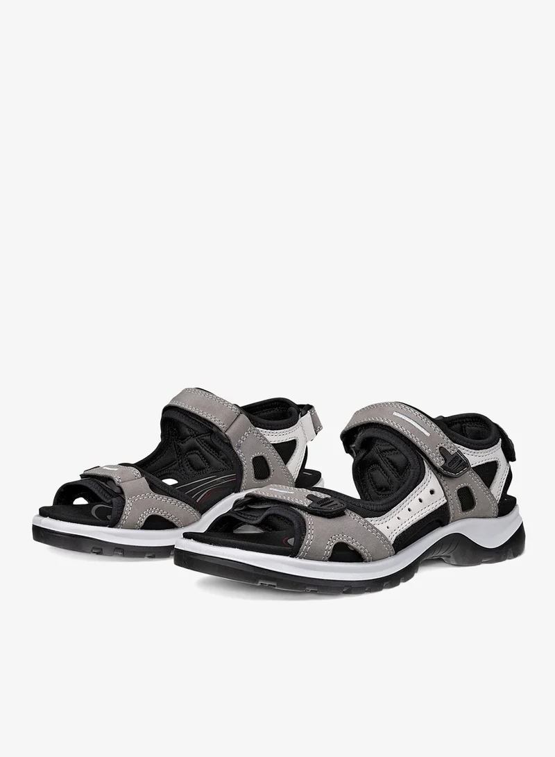 إيكو إيكو أوف رود تيتانيوم