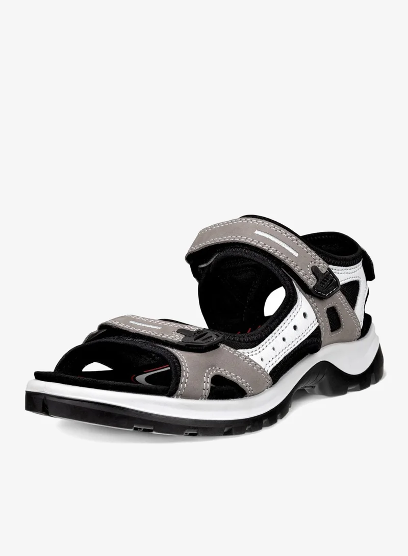 إيكو إيكو أوف رود تيتانيوم