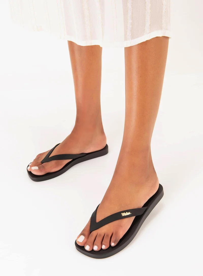 ميليسا ميليسا صن لونج بيتش إيه دي