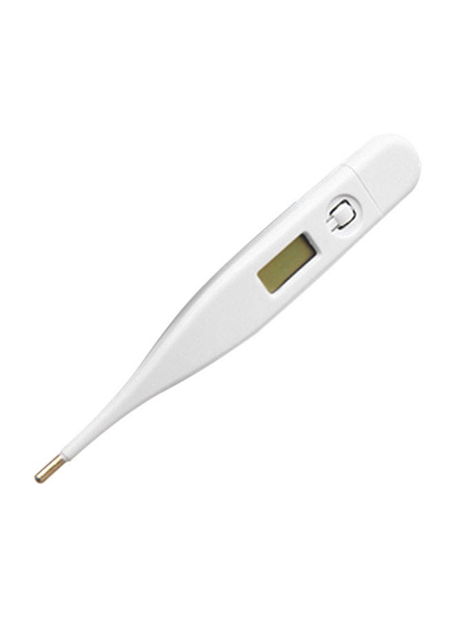NIBEMINENT Portable Digital Thermometer With LCD Display - Image 1