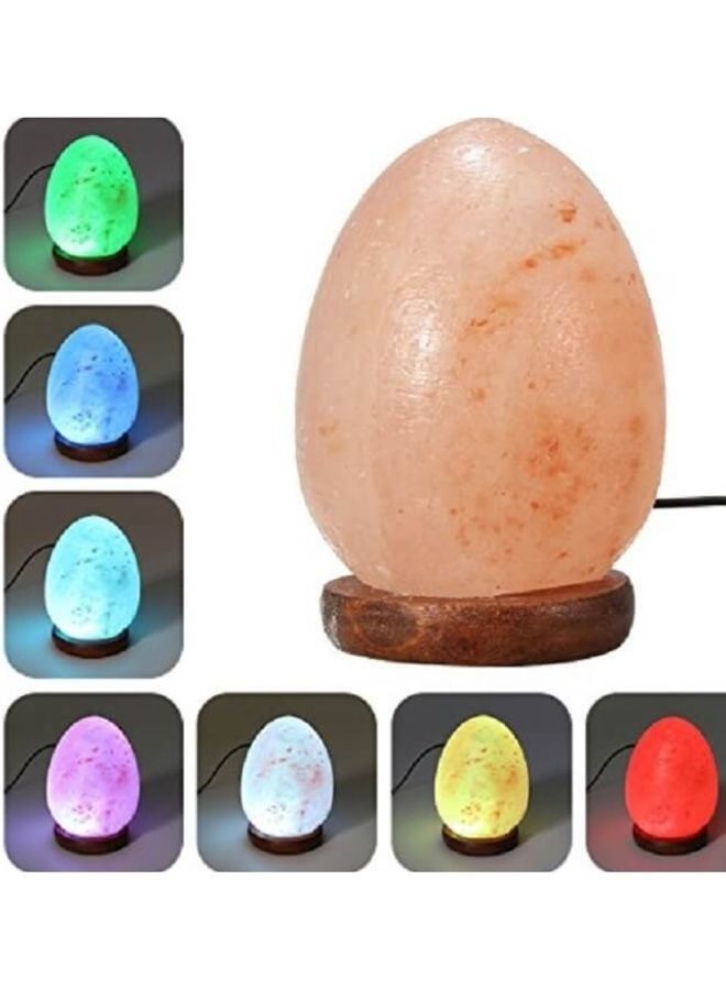Organic Secrets Himalayan Pink Salt Egg Shaped USB Lamp