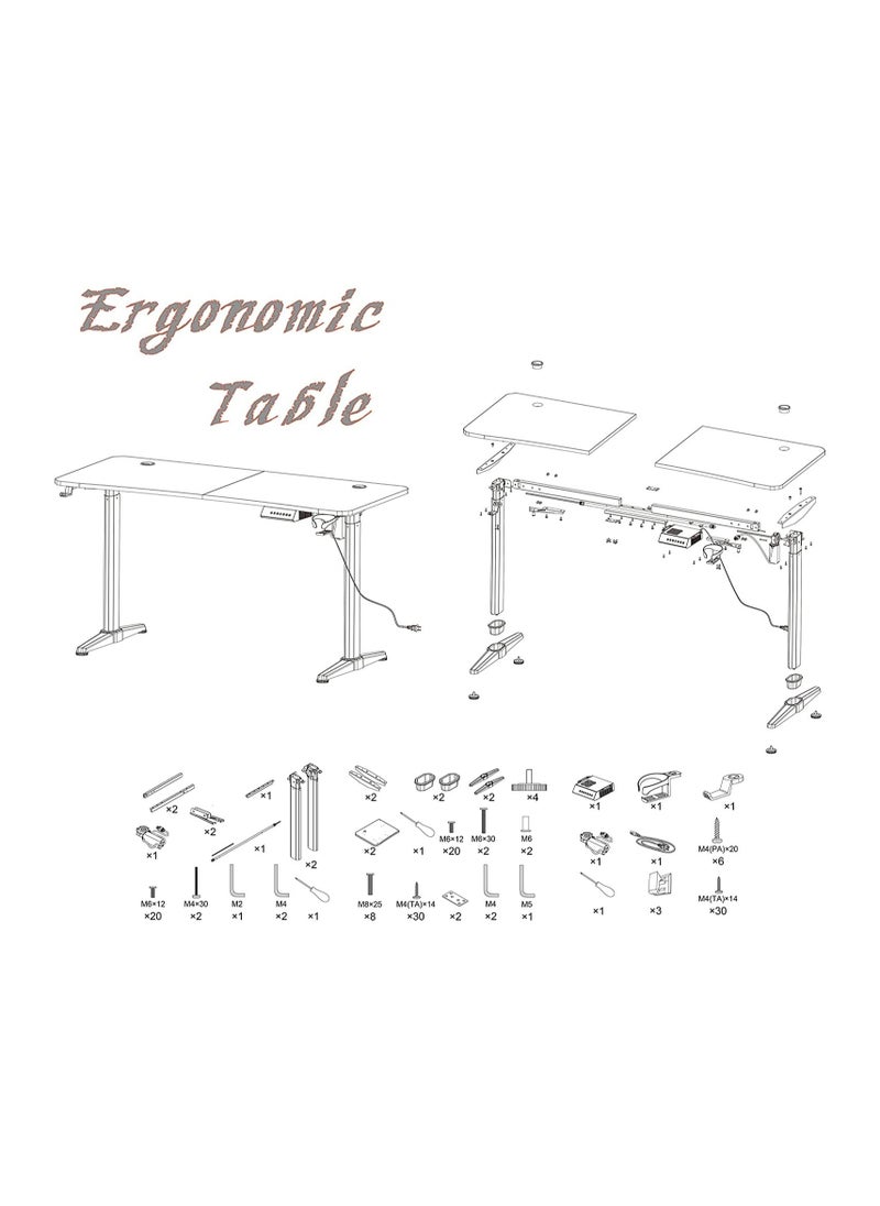 Royal Polar - Ergonomic Electric Standing Desk Lifting Computer Desk Intelligent Workstation with 4 Height Memory Controller with Headphone Hook - Image 1