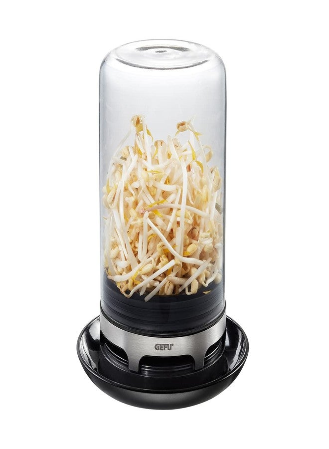 غيفو مرطبان إنبات (أسود) - Image 5