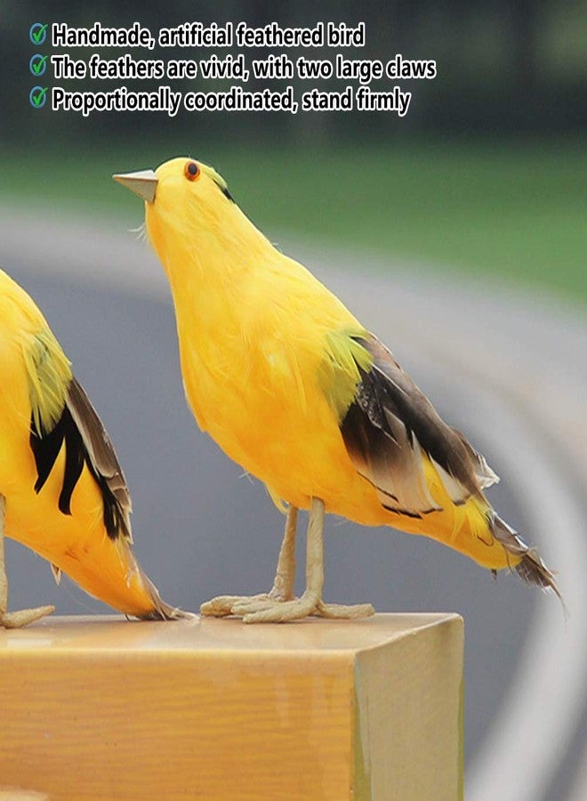 Pilipane Simulation Oriole Bird Model,Artificial Bird,Bird Adornment,Artificial Feathered Animal Ornament,Ornament Birds Crafts for Garden Home Decoration, Artificial Bird, Simulation Oriole Bird Model,B - Image 5