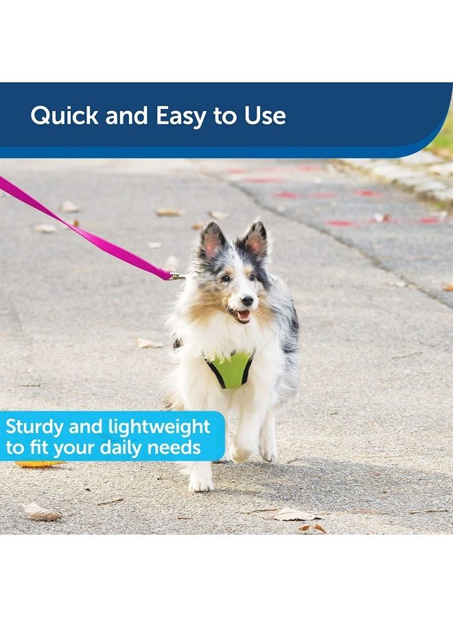 PetSafe Nylon Dog Leash - Strong, Durable, Traditional Style Leash with Easy to Use Bolt Snap - 3/4 in. x 6 ft., Raspberry Pink