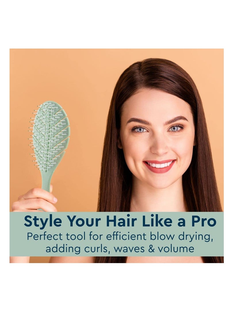 GUBB French Hues vent leaf brush Vent Hair Brush for Styling, Detangling and Grooming for Men and Women |Straightens & Detangles Curly Hairs | Reduces Hair Breakage and Promotes Hair Growth|Best Hair Brush for All Hair Types - Image 2