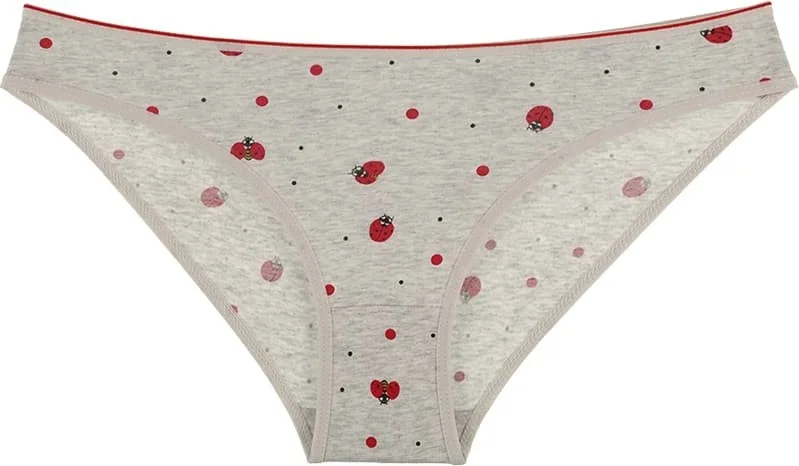 Donella 10 Pcs Colorful Ladybug Printed Women's Panties - 21341135UB