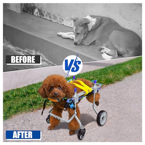 LetPetRun Four-Wheeled Adjustable Dog Wheelchair, Lightweight Mobility Bicycle Trailer for Disabled Pets, Easy to Assemble, Supports Walking and Exercise (XS) - Image 2