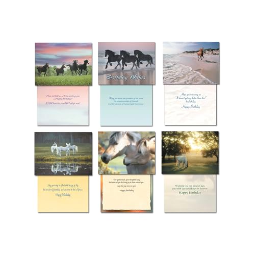 Leanin' Tree Horse Country - Made in USA - 20 Assorted Cards with Envelopes All Occasion, Greeting Cards Assortment Box - Includes Birthday, Blank Notecards with Envelope, Thank You, Sympathy and More - Image 4