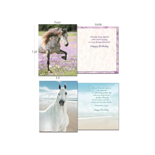 Leanin' Tree Horse Country - Made in USA - 20 Assorted Cards with Envelopes All Occasion, Greeting Cards Assortment Box - Includes Birthday, Blank Notecards with Envelope, Thank You, Sympathy and More - Image 2
