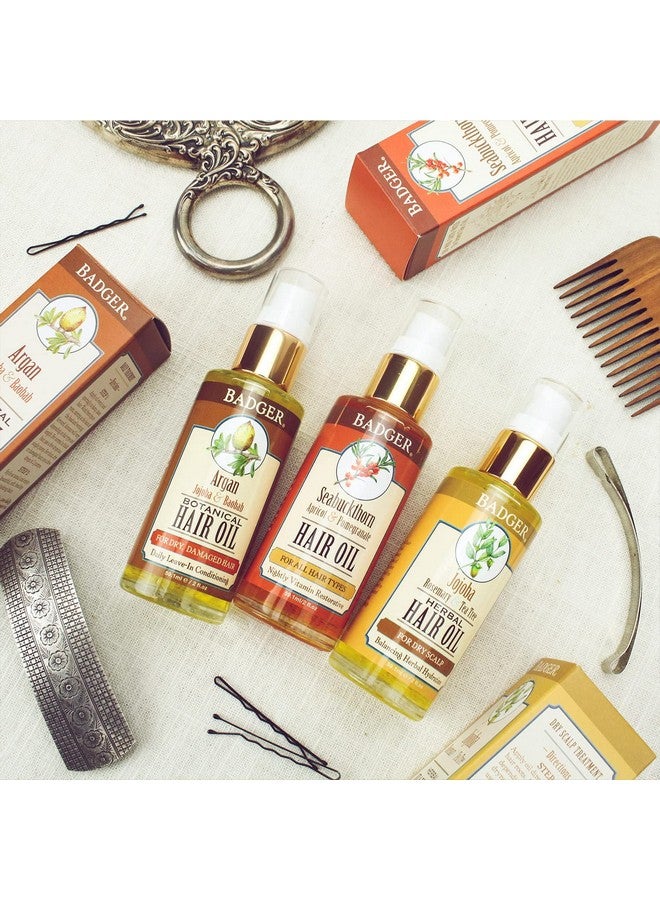 بادجير بادجر - زيت شعر الأرغان مع الجوجوبا والباوباب، علاج زيت الأرغان المغربي للشعر الجاف والتالف أو المجعد، بلسم يُترك على الشعر، مرطب عضوي مقوي. 2 أونصة سائلة - Image 5