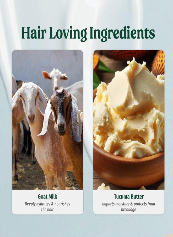 Vilvah Store Goatmilk Shampoo 250ml & Cream Conditioner 250ml Combo Pack - Image 5