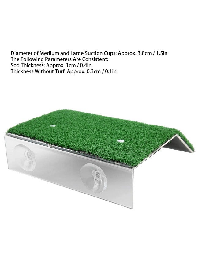 حوض سلحفاة للتشمس، منحدر سلحفاة، محاكاة بلاستيكية للسلحفاة، زواحف، موطن سلحفاة للتشمس والتسلق وتجميل المناظر الطبيعية (كبير) - Image 5