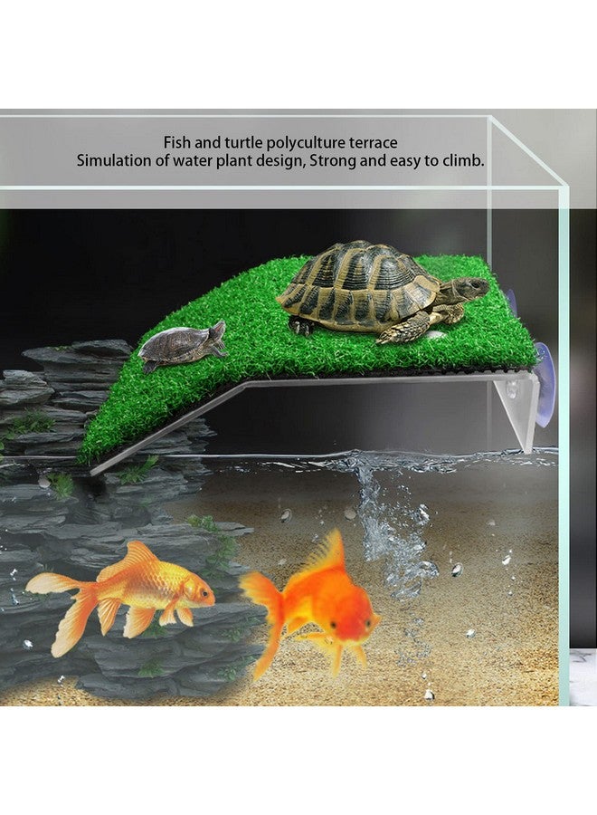 حوض سلحفاة للتشمس، منحدر سلحفاة، محاكاة بلاستيكية للسلحفاة، زواحف، موطن سلحفاة للتشمس والتسلق وتجميل المناظر الطبيعية (كبير) - Image 2