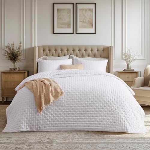 Bedsure Bedsure Quilts Queen Size  Ultra Soft Queen Quilt Bedding Set for Modern Bedroom Decor White Summer Bedspread Coverlet with 2 Pillow Shams Lightweight AllSeason Comforter 90x96 Inch