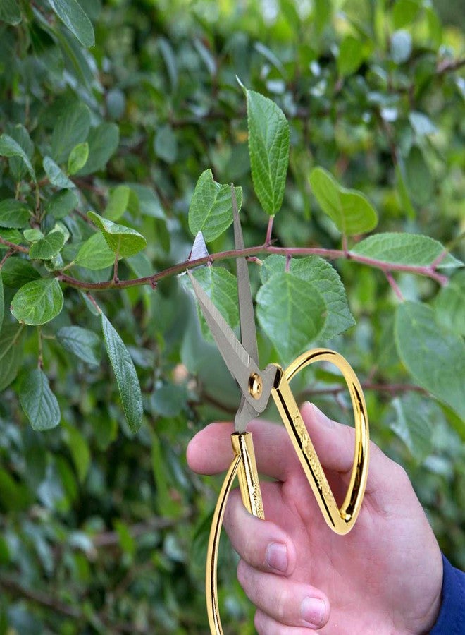 Wasan Gold Plated Dragon and Phoenix Relief Design Bonsai Scissors, Chinese Shears Household Traditional Scissors for Sewing, Art Craft, Food Paper Cutting - 2 Packs (5" and 6") - Image 5