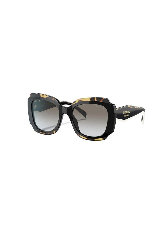 PRADA Woman IRREGULAR  SUNGLASSES- PR 16YS - lense size:52mm - BLACK/HAVANA - Image 1