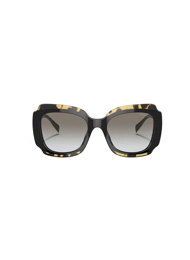 PRADA Woman IRREGULAR  SUNGLASSES- PR 16YS - lense size:52mm - BLACK/HAVANA - Image 2