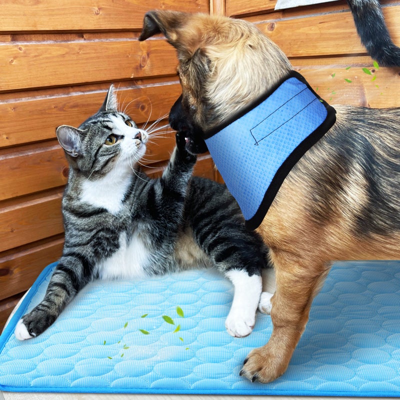 Dog Cooling Bandana Neck Wrap Cooler with Ice Silk Mat Cooling Blanket for Small Medium Dogs - Image 4