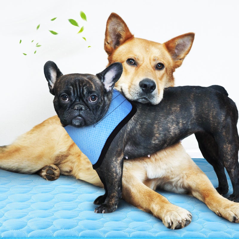 Dog Cooling Bandana Neck Wrap Cooler with Ice Silk Mat Cooling Blanket for Small Medium Dogs - Image 5