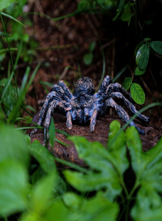 SIENON Realistic Spider Animal Figures- 2Pcs Lifelike Insect Figurines Toys Giant Whiteknee Tarantula Action Model for Kids Education Halloween Prank Props Decoration - Image 4