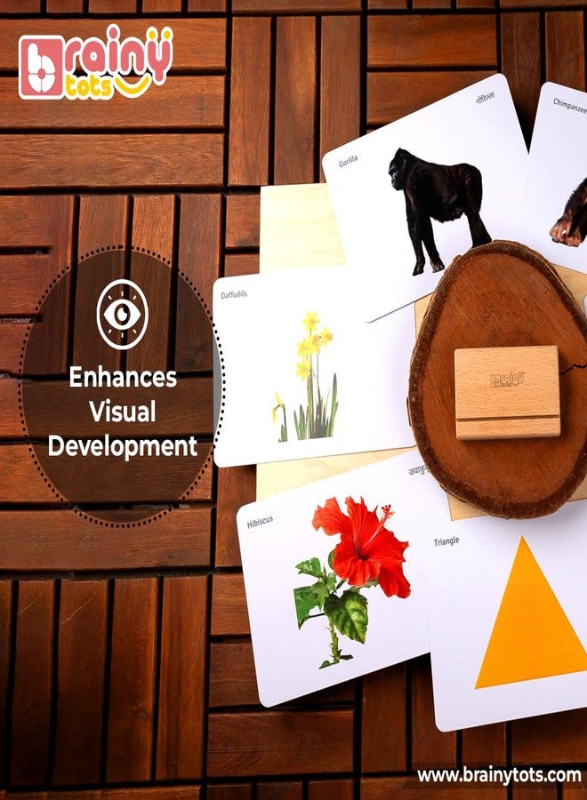 Brainytots Stable Flashcard Stands Set of 3 | Montessori Learning Tool | Enhances Visual & Cognitive Development | Anti-Topple Design | Easy-Swap Flashcard Holder | Natural Wood Display Multicolor - Image 4