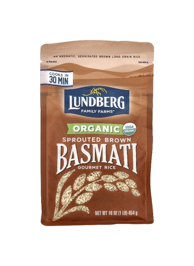 Lundberg Lundberg, Organic Sprouted Brown Basmati Gourmet Rice, 1 lb (454 g)  - Image 1