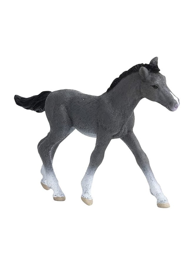 Schleich Trakehner Foal Horse Figure  - Image 3