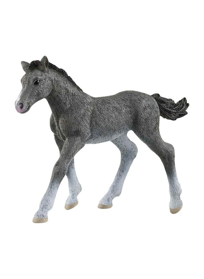 Schleich Trakehner Foal Horse Figure  - Image 1