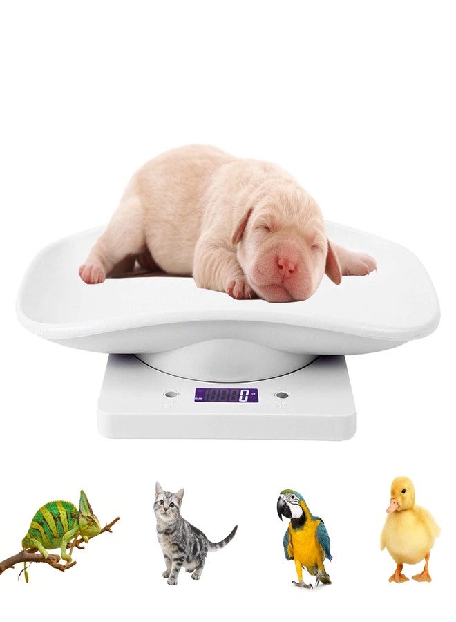 LFGKeng Digital Pet Scale, Portable LCD Electronic Weighing Scale with Tray(Max. 33 lbs), Small Animal Weight Scale, Multifunction Kitchen Scale for Food/Lizard/Puppy/Kitten/Hamster/Whelping - Image 1