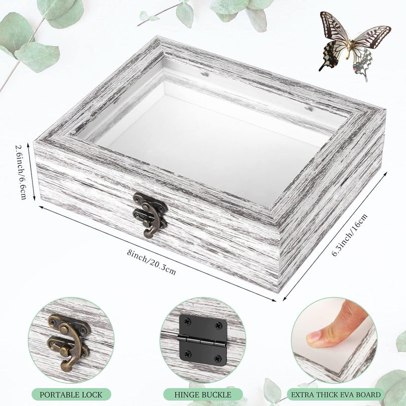 Macarrie 2 Pcs Insect Display Case Collection Shadow Boxes With Clear Top EVA Foam Pinning Board and 300 Pcs 3 Sizes Pins  Butterfly Box Kit for Specimen 787 x 63 x 205 Inch Gray - Image 3