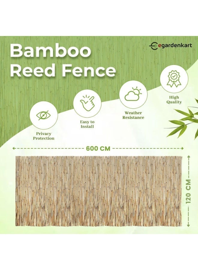 Egardenkart سياج الخيزران من إي غاردن كارت للحديقة - سياج الشرفة | سياج الخصوصية بالخيزران لشرفة الخصوصية | شاشة الخيزران 120سمx600سم - Image 2
