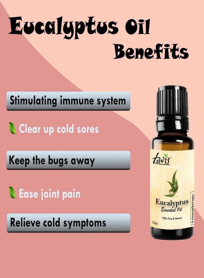 Tavis Eucalyptus Oil - 30ml (Pack of 3) - Image 3