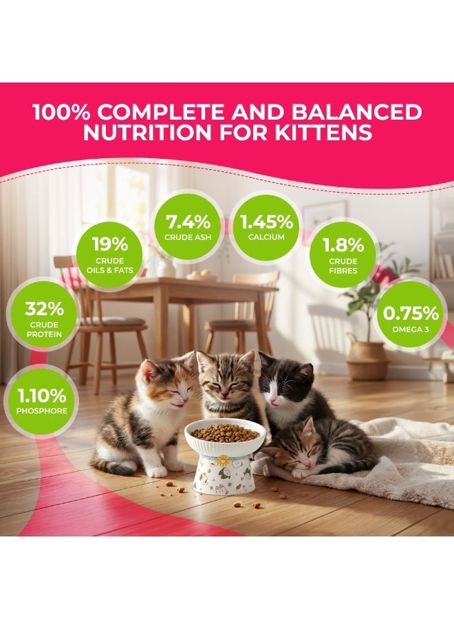 Voskes Adult Cat food Salmon 7 kg | Adult Complete Salmon Dry Cat Food for Immunity, Digestion & Urinary Health | Grain Free, Prebiotics, Fish Oil | Hairball Control & Dental Care Formula - Image 4
