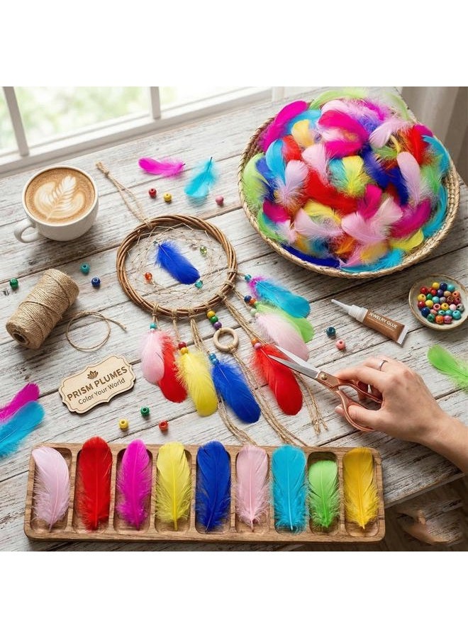Lamar Feather 300pcs Colorful Feathers for Crafting,Dream Catcher Accessories,Art Projects,DIY Crafts,Handi Crafts,Wedding Party Decoration(Colorful) - Image 4