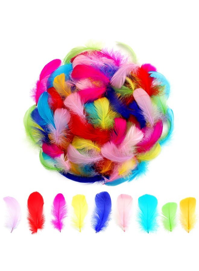 Lamar Feather 300pcs Colorful Feathers for Crafting,Dream Catcher Accessories,Art Projects,DIY Crafts,Handi Crafts,Wedding Party Decoration(Colorful) - Image 1