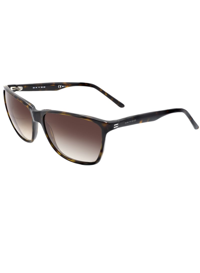 أوكسيدو نظارة شمسية Oxydo OX 1049S 086/HA DARKHAVANA للحماية من الأشعة فوق البنفسجية - Image 2