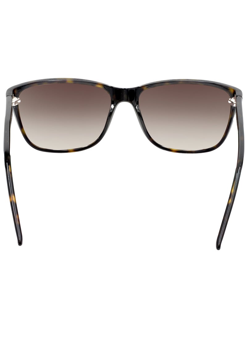 أوكسيدو نظارة شمسية Oxydo OX 1049S 086/HA DARKHAVANA للحماية من الأشعة فوق البنفسجية - Image 3