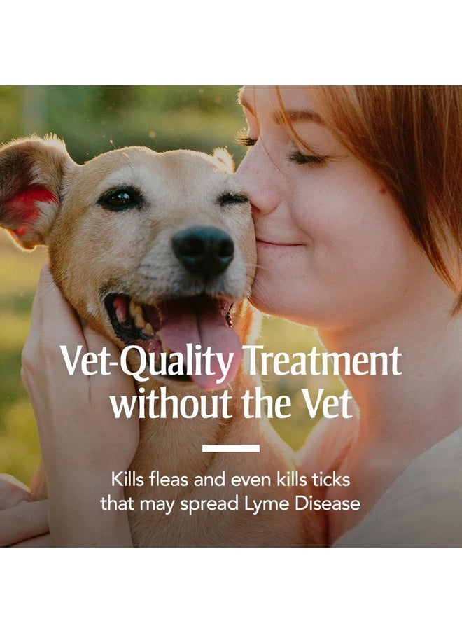 PetArmor - For Dogs, Flea And Tick Treatment For Large Dogs (4588 Pounds), Includes 3 Month Supply Of Topical Flea Treatments - Image 1